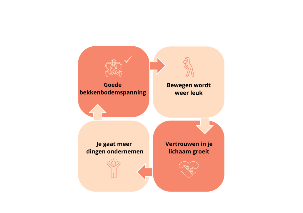 bekkenbodem cirkel